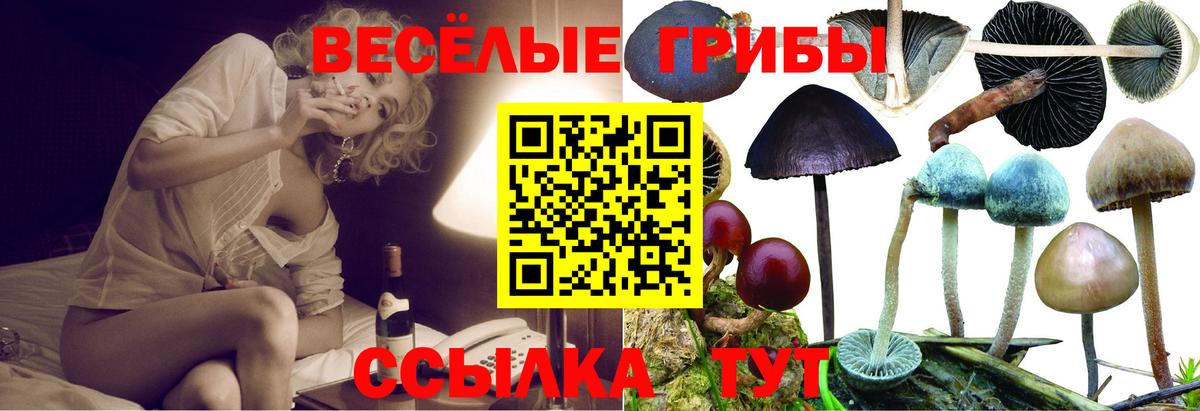Псилоцибиновые грибы прущие грибы  Галлюциногенные грибы MAGIC MUSHROOMS  Дубна  даркнет сайт  Вход с VPN 